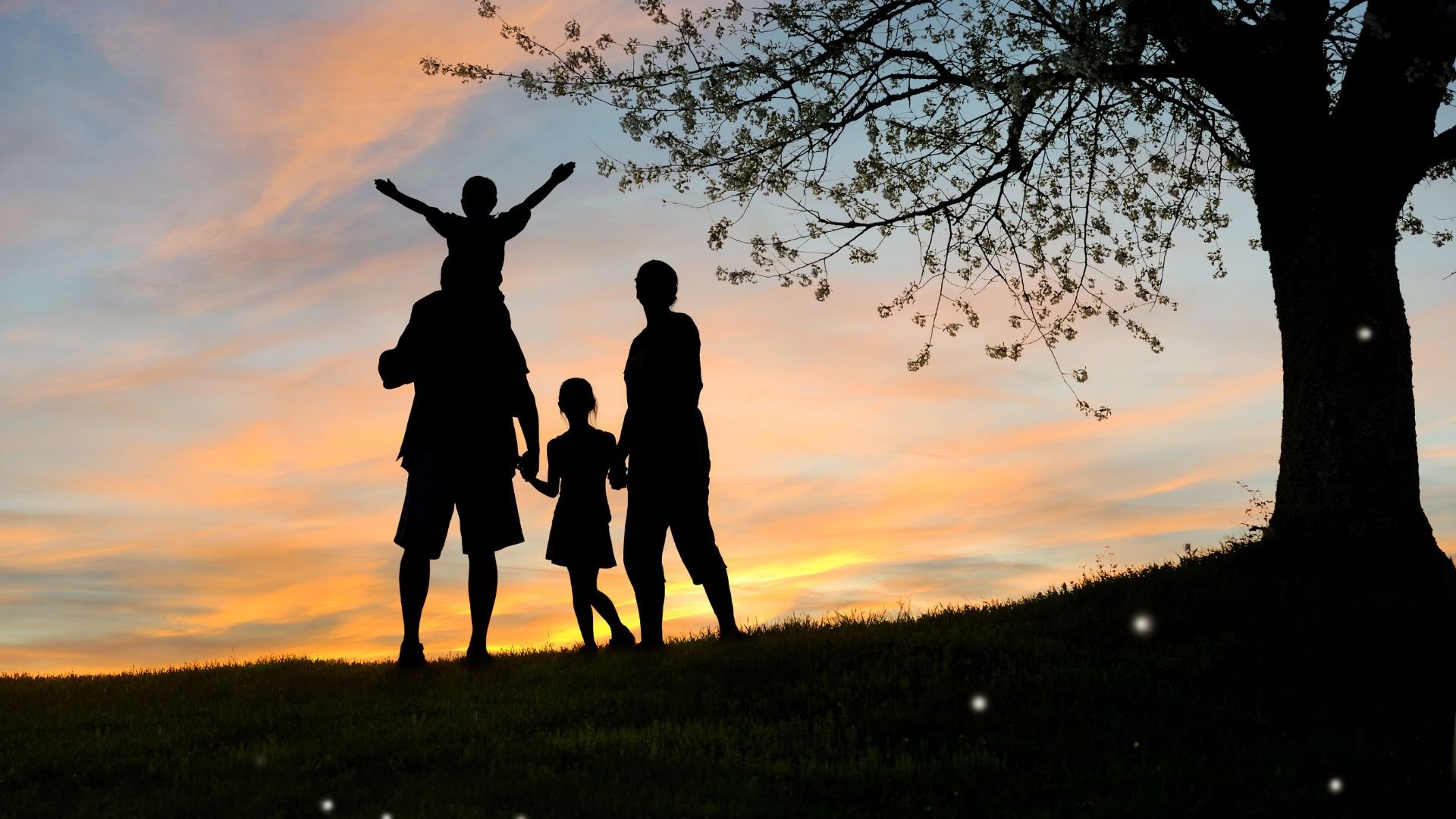 Silhouette of family with child on shoulders during sunset near tree